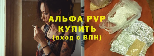 стаф Алзамай