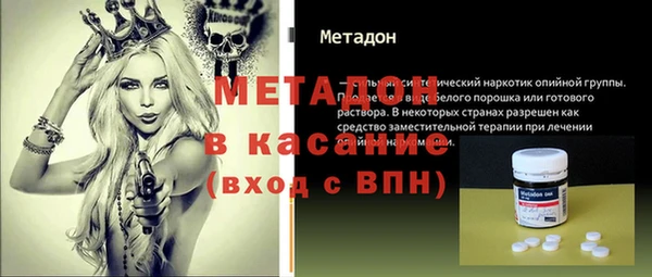стаф Алзамай