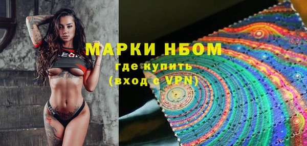 стаф Алзамай