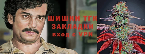 стаф Алзамай