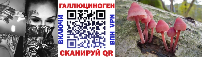 Псилоцибиновые грибы MAGIC MUSHROOMS Ковров